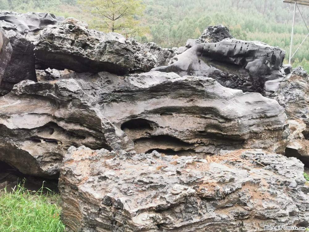风景石、假山石大量有货,有需要的欢迎联系 - 新手上路 - 石嘴山生活社区 - 石嘴山28生活网 szs.28life.com