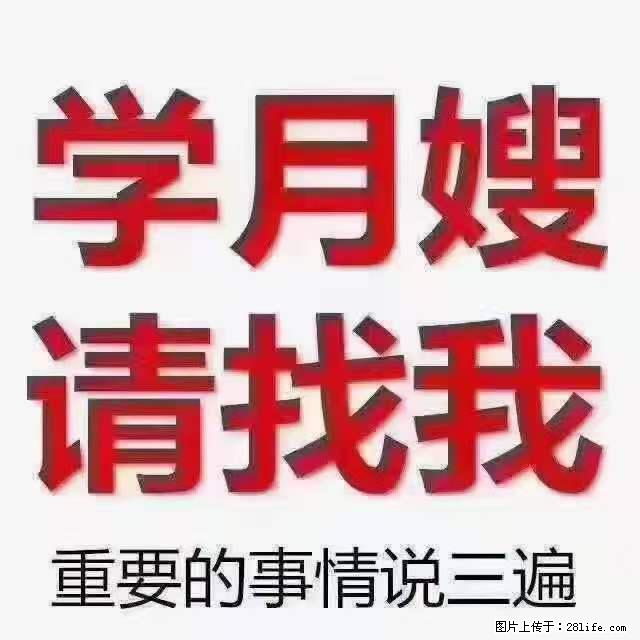 为什么要学习月嫂，育婴师？ - 其他广告 - 广告专区 - 石嘴山分类信息 - 石嘴山28生活网 szs.28life.com