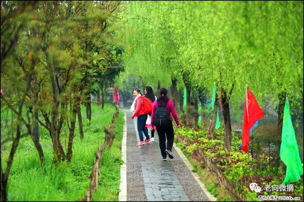 【春天,广西桂林灌阳县向您发出邀请!】江口老街又逢春 - 游山玩水 - 石嘴山生活社区 - 石嘴山28生活网 szs.28life.com