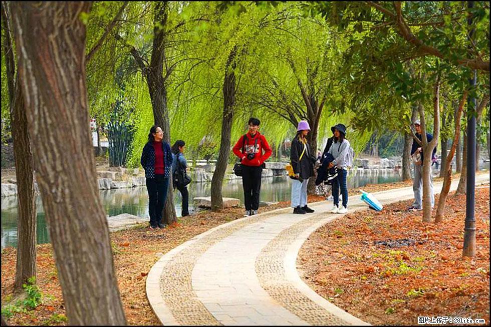 【春天,广西桂林灌阳县向您发出邀请!】江口老街又逢春 - 游山玩水 - 石嘴山生活社区 - 石嘴山28生活网 szs.28life.com