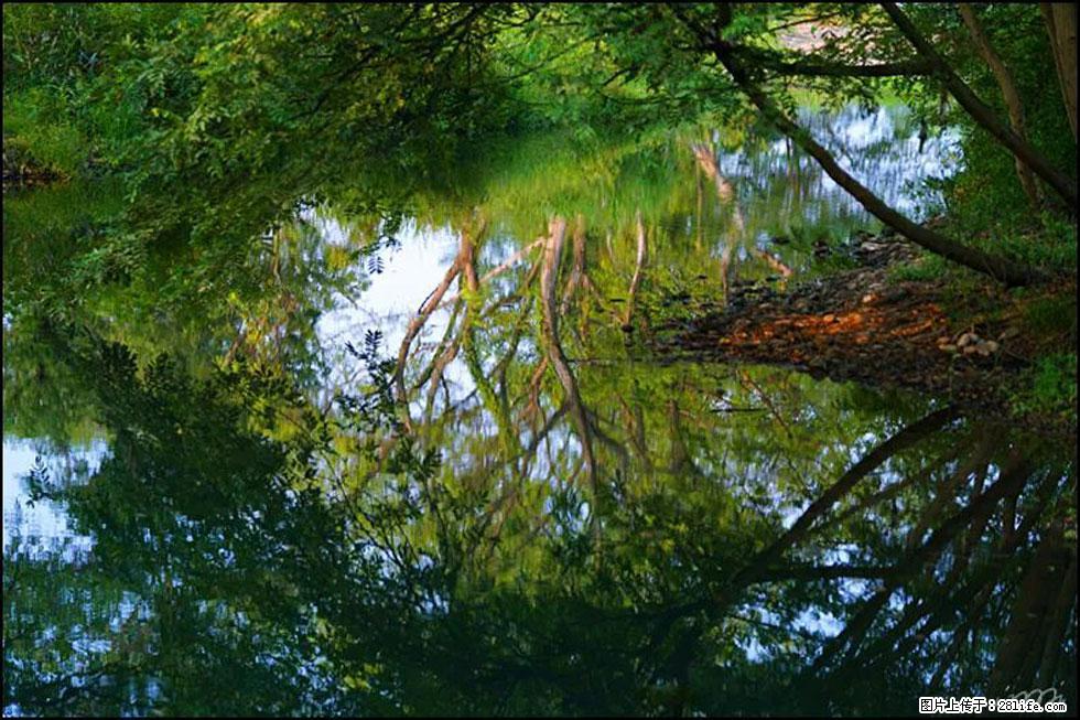 【春天,广西桂林灌阳县向您发出邀请!】熊家寨湿地公园 - 游山玩水 - 石嘴山生活社区 - 石嘴山28生活网 szs.28life.com