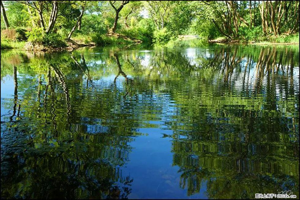 【春天,广西桂林灌阳县向您发出邀请!】熊家寨湿地公园 - 游山玩水 - 石嘴山生活社区 - 石嘴山28生活网 szs.28life.com
