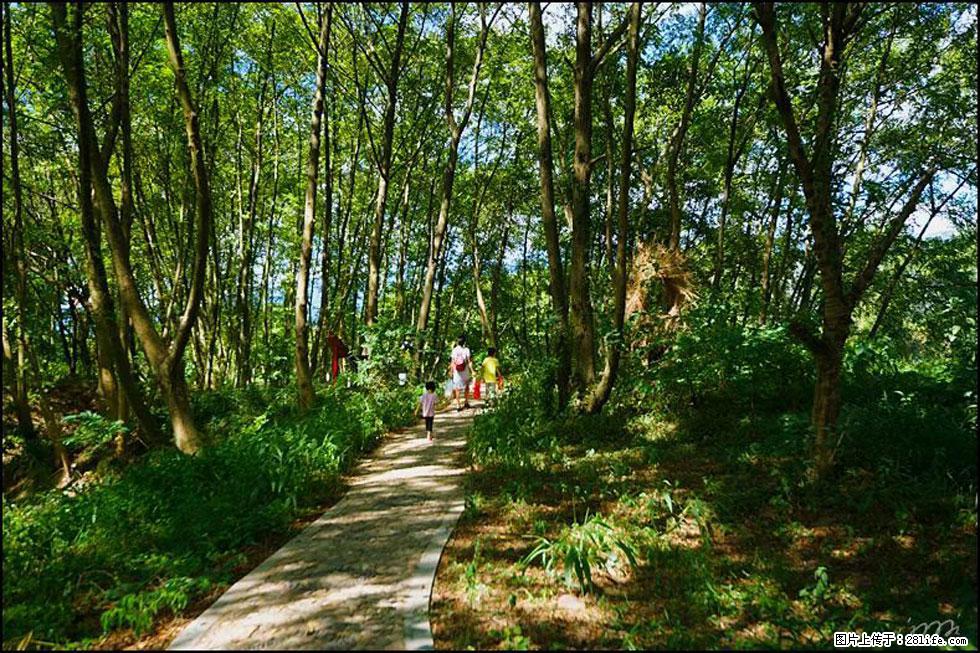 【春天,广西桂林灌阳县向您发出邀请!】熊家寨湿地公园 - 游山玩水 - 石嘴山生活社区 - 石嘴山28生活网 szs.28life.com