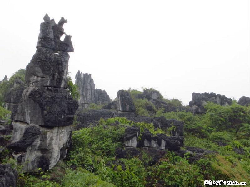 桂林旅游名城景点:灌阳文市石林 - 游山玩水 - 石嘴山生活社区 - 石嘴山28生活网 szs.28life.com
