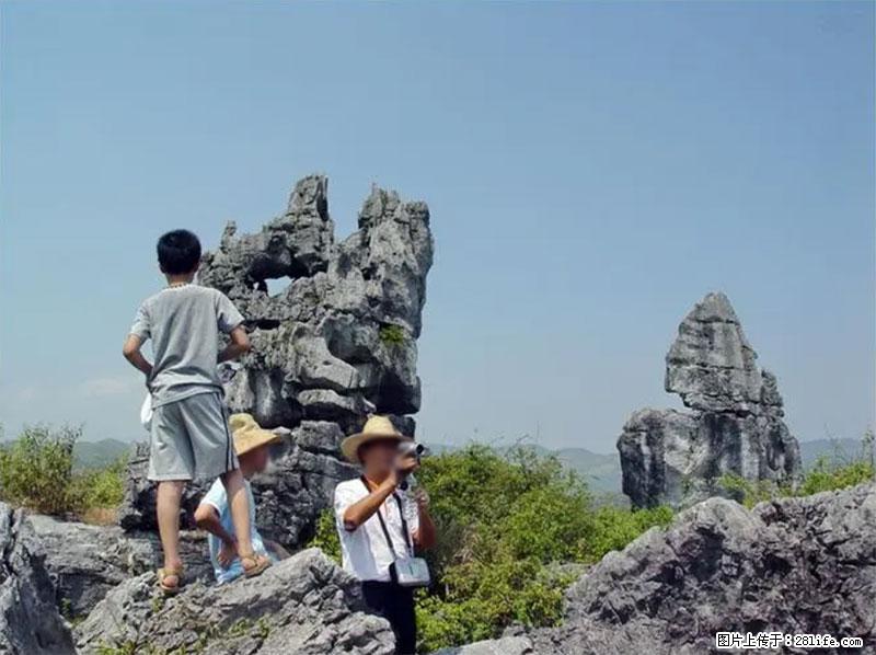 桂林旅游名城景点:灌阳文市石林 - 游山玩水 - 石嘴山生活社区 - 石嘴山28生活网 szs.28life.com