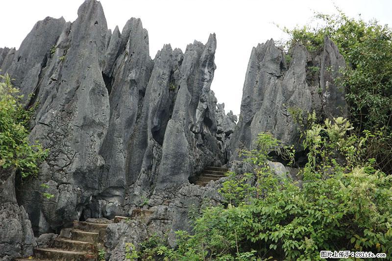桂林旅游名城景点:灌阳文市石林 - 游山玩水 - 石嘴山生活社区 - 石嘴山28生活网 szs.28life.com