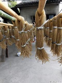 【灌阳正宗红薯粉】美女家里自己做的,干净卫生,假一赔十,价格合理,抢购电话:13737312895 - 石嘴山28生活网 szs.28life.com