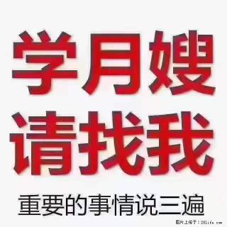 为什么要学习月嫂,育婴师? - 石嘴山28生活网 szs.28life.com