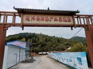 【灌阳县油茶产业示范区】一个有着充实的精神生活的人,对待身外之物自会有一种淡泊的态度 - 石嘴山28生活网 szs.28life.com