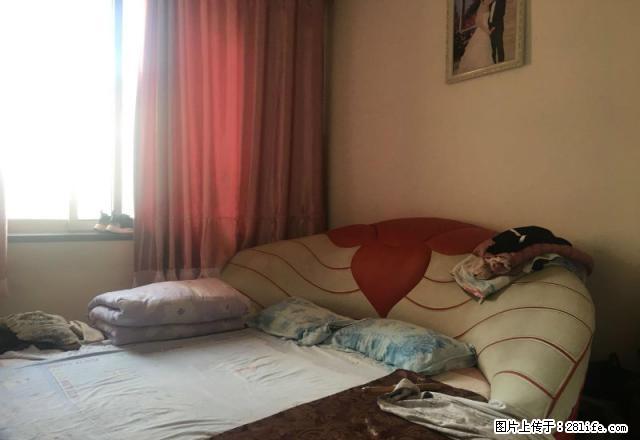 公安小区附近、千汇旁边金山附近辛格瑞拉4楼可半年付费 - 房屋出租 - 房屋租售 - 石嘴山分类信息 - 石嘴山28生活网 szs.28life.com