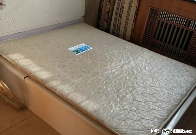 大武口文隆苑四层精装出租位于十五小学附近 - 房屋出租 - 房屋租售 - 石嘴山分类信息 - 石嘴山28生活网 szs.28life.com