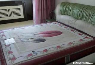 大武口金山小区六层精装出租位于三中附近 - 石嘴山28生活网 szs.28life.com