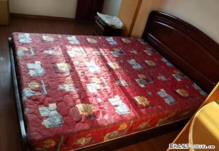 大武口万盛花园四层精装出租位于解放东街绿城雅居对面 - 石嘴山28生活网 szs.28life.com