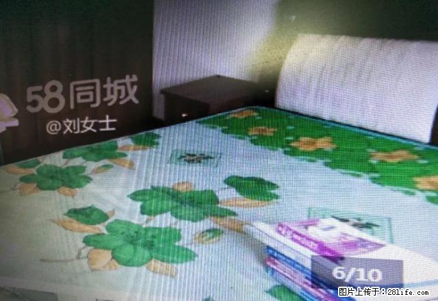 怡心花园好房出租，五楼不热，上面有斜坡。 - 房屋出租 - 房屋租售 - 石嘴山分类信息 - 石嘴山28生活网 szs.28life.com