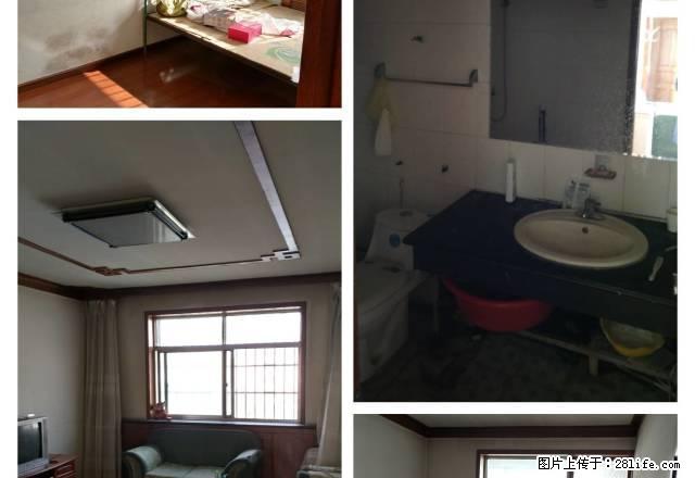 移动公司旁 朝晖胡同 5楼住房出租 设施齐全,干净整洁 - 房屋出租 - 房屋租售 - 石嘴山分类信息 - 石嘴山28生活网 szs.28life.com