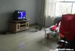 (单间出租)锦馨花园11楼电梯房500元 - 石嘴山28生活网 szs.28life.com