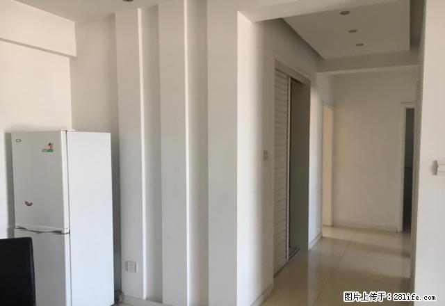 金峰国际11楼不是顶楼精装修家具家电全 - 房屋出租 - 房屋租售 - 石嘴山分类信息 - 石嘴山28生活网 szs.28life.com