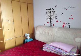 怡心花园六楼家具家电全出租 - 石嘴山28生活网 szs.28life.com