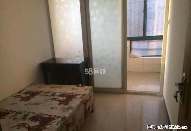 新世纪精装1室1厅1卫小公寓，家电家具齐全 - 房屋出租 - 房屋租售 - 石嘴山分类信息 - 石嘴山28生活网 szs.28life.com