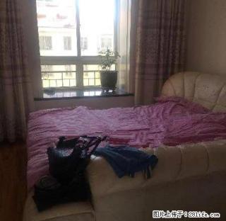 新世纪花园一楼3室2厅1卫婚房出租 - 石嘴山28生活网 szs.28life.com