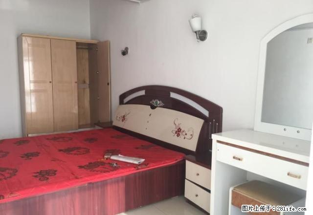 红柱子街附近文安小区、禹欣花园、兴隆源 - 房屋出租 - 房屋租售 - 石嘴山分类信息 - 石嘴山28生活网 szs.28life.com