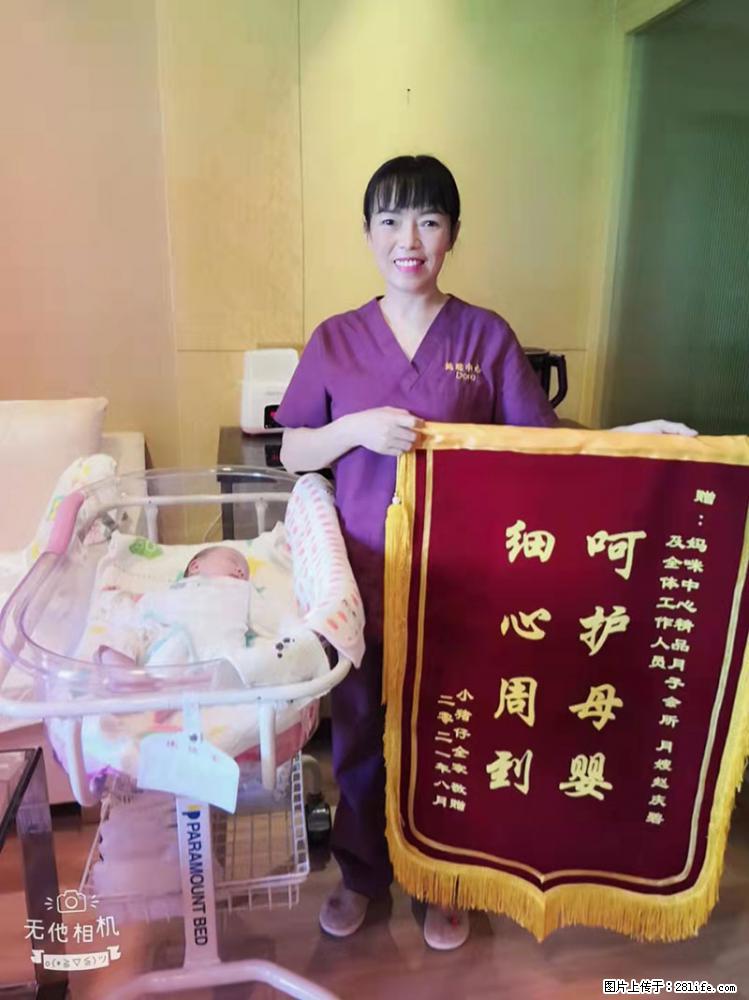 上海高端月子会所招新手月嫂,零基础带教,包吃住 - 职场交流 - 石嘴山生活社区 - 石嘴山28生活网 szs.28life.com