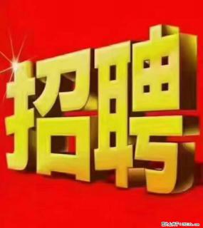 【东莞市威萨电子科技有限公司】公司直招:外贸业务、仓管员、跟单文员、普工 - 石嘴山28生活网 szs.28life.com