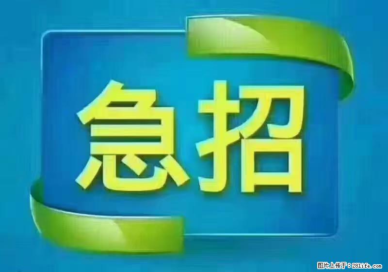 急单，上海长宁区隔离酒店招保安，急需6名，工作轻松不站岗，管吃管住工资7000/月 - 建筑/房产/物业 - 招聘求职 - 石嘴山分类信息 - 石嘴山28生活网 szs.28life.com