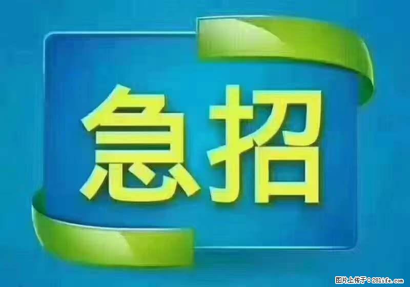 招出纳8000元/月，无证可以，要有相关经验，上海五险一金，包住，包工作餐，做六休一。 - 职场交流 - 石嘴山生活社区 - 石嘴山28生活网 szs.28life.com