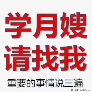 【招聘】月嫂，上海徐汇区 - 石嘴山28生活网 szs.28life.com