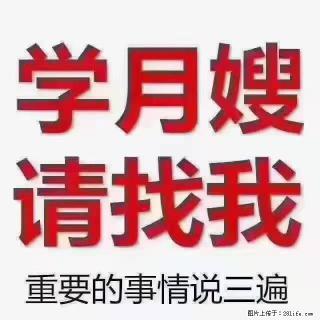 【招聘】月嫂,上海徐汇区 - 石嘴山28生活网 szs.28life.com