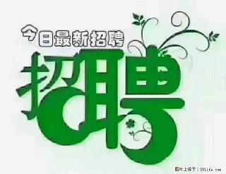 上海青浦区招仓管 - 石嘴山28生活网 szs.28life.com
