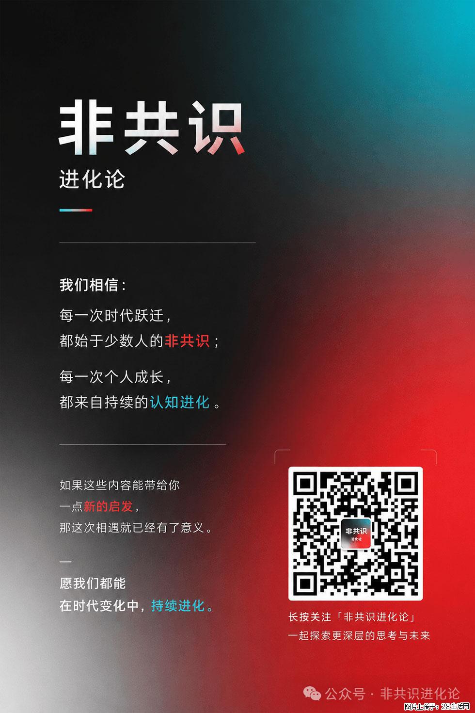 AI不会淘汰程序员，但会改变程序员的成长路径 - 职场交流 - 石嘴山生活社区 - 石嘴山28生活网 szs.28life.com