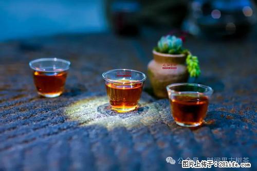 时间果百年古树2025年春红茶 - 购物交流 - 石嘴山生活社区 - 石嘴山28生活网 szs.28life.com