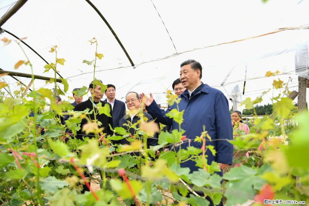 习近平赴广西考察调研 - 石嘴山生活资讯 - 石嘴山28生活网 szs.28life.com