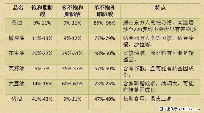 揭秘茶油的5大核心营养成分!被称为人体健康的“守护盾”! - 石嘴山生活资讯 - 石嘴山28生活网 szs.28life.com
