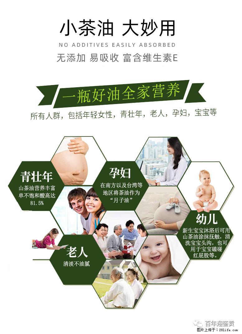 世界没有真相,只有认知,最好的食用油是中国的山茶油! - 石嘴山生活资讯 - 石嘴山28生活网 szs.28life.com