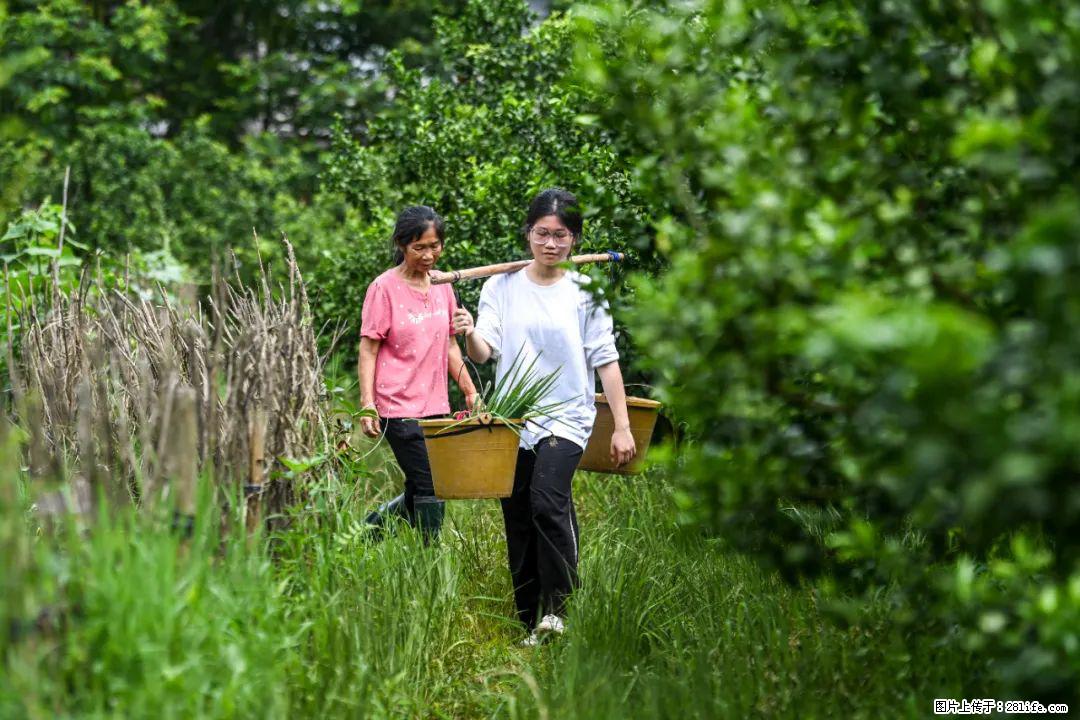 全网追的“扁担女孩”,找了一份暑假工,时薪12元 - 石嘴山生活资讯 - 石嘴山28生活网 szs.28life.com
