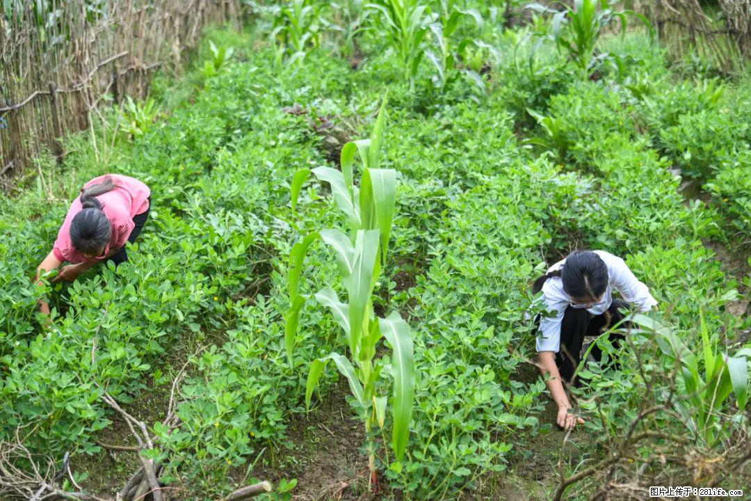 全网追的“扁担女孩”,找了一份暑假工,时薪12元 - 石嘴山生活资讯 - 石嘴山28生活网 szs.28life.com