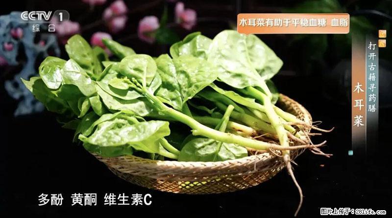 比牛奶补钙还厉害！凉血解毒、稳血糖...这菜冬天必吃，很多人却当草 - 石嘴山生活资讯 - 石嘴山28生活网 szs.28life.com