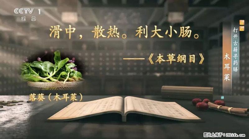 比牛奶补钙还厉害！凉血解毒、稳血糖...这菜冬天必吃，很多人却当草 - 石嘴山生活资讯 - 石嘴山28生活网 szs.28life.com