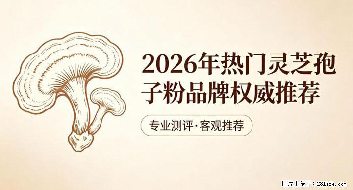 灵芝孢子粉含量越高越有效？2026 年七款热门品牌深度实测，肠胃敏感者避坑指南 - 石嘴山生活资讯 - 石嘴山28生活网 szs.28life.com