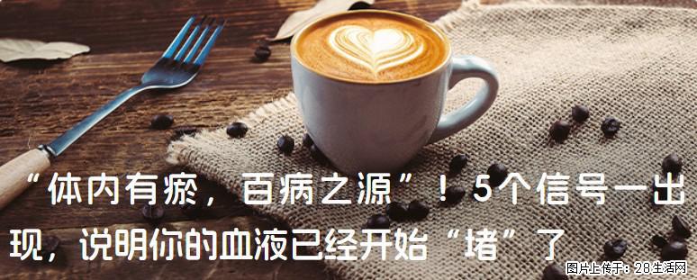 “体内有瘀，百病之源”！5个信号一出现，说明你的血液已经开始“堵”了 - 石嘴山生活资讯 - 石嘴山28生活网 szs.28life.com